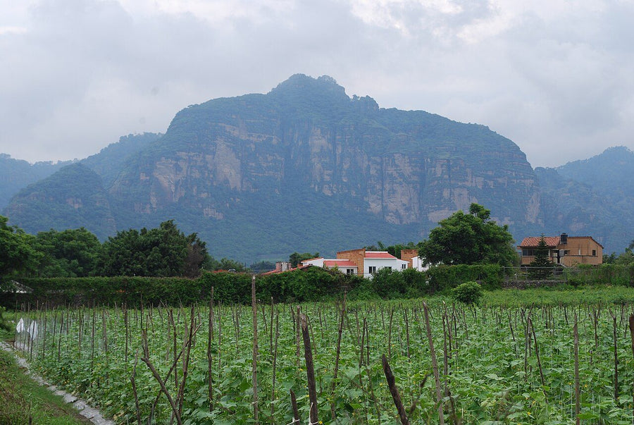 Inmueble productivo en venta · Arboledas Del Sur, Guadalajara | 700 m²