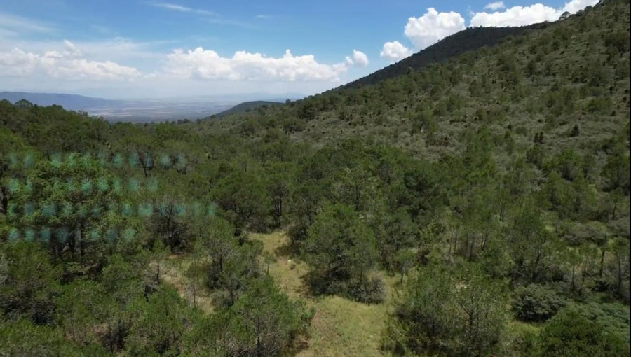 Terreno a la venta · Saltillo 2000, Saltillo (500000 m²)