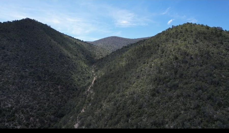 Terreno a la venta · Saltillo 2000, Saltillo (500000 m²)