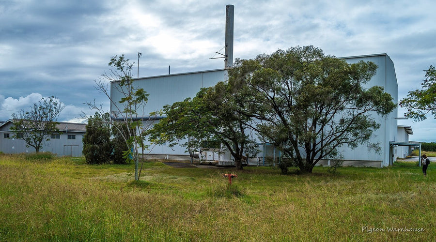 Los Cipreses, Comitán: bodega en renta | 970 m²