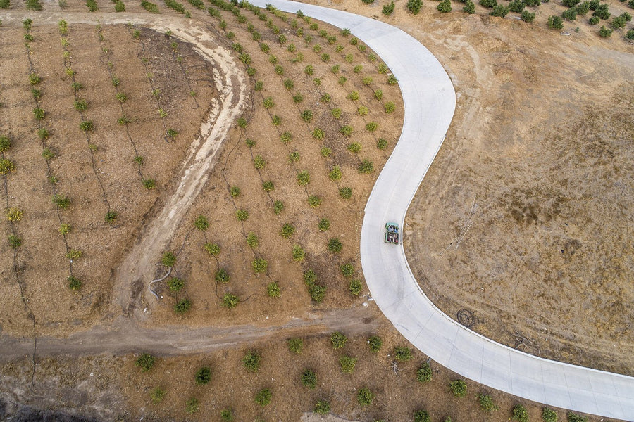 Inmueble productivo en renta · San Andrés Azumiatla, Puebla | 5000 m²