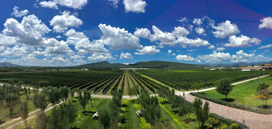 Icamole, García: inmueble productivo en venta | 1800 m²