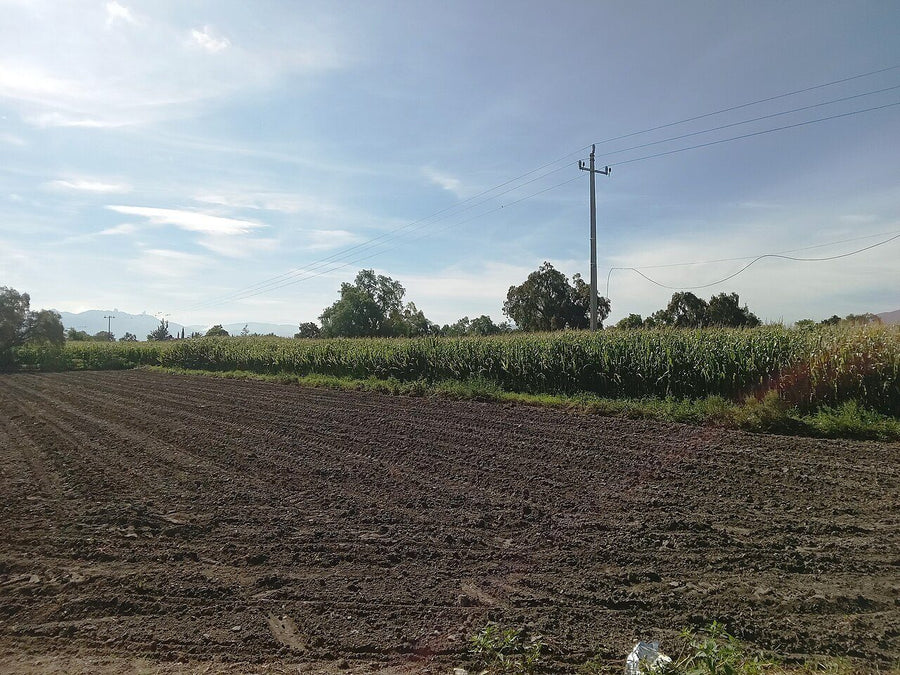 Inmueble productivo en renta en la zona de Cervantes y Lozada, Córdoba | 2000 m²