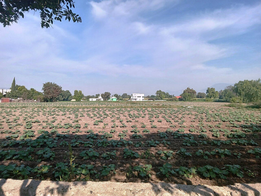 Inmueble productivo en renta en la zona de San Jerónimo Chicahualco, Metepec | 1710 m²