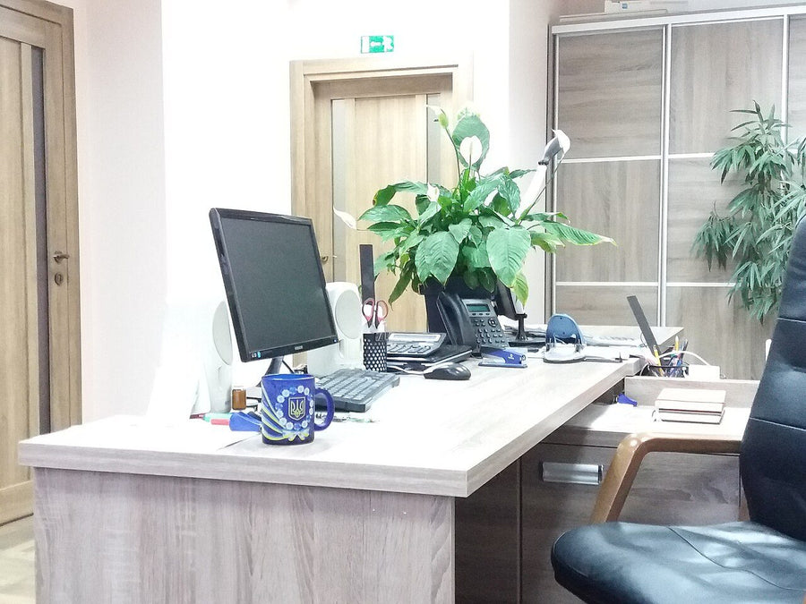 Oficina en renta en la zona de Ejidal, Celaya | 211 m²