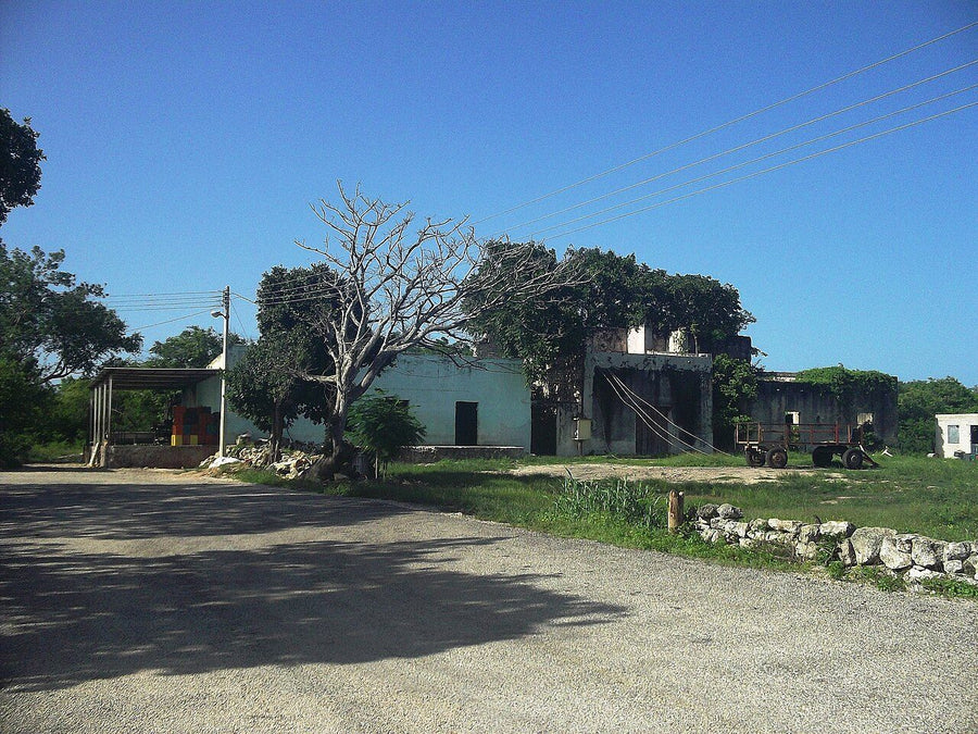 Rancho/Quinta de 2 recámaras en renta en Alianza de Cazadores Diana, Zapopan | 2 rec., 210 m²
