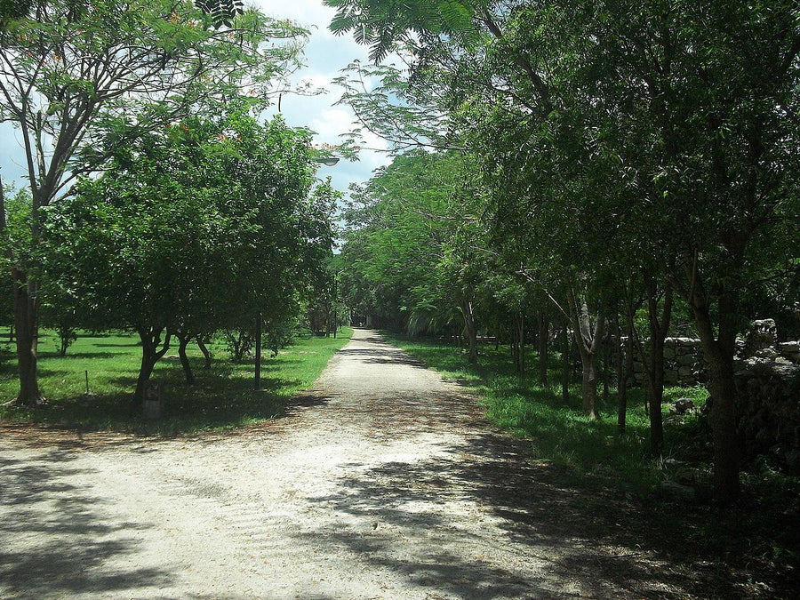 Rancho/Quinta de 3 recámaras en venta en La Granja, El Marqués | 3 rec., 135 m²