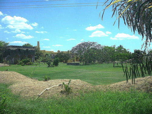 Agrícola Álvaro Obregón, Metepec: propiedad campestre en renta – foto 1