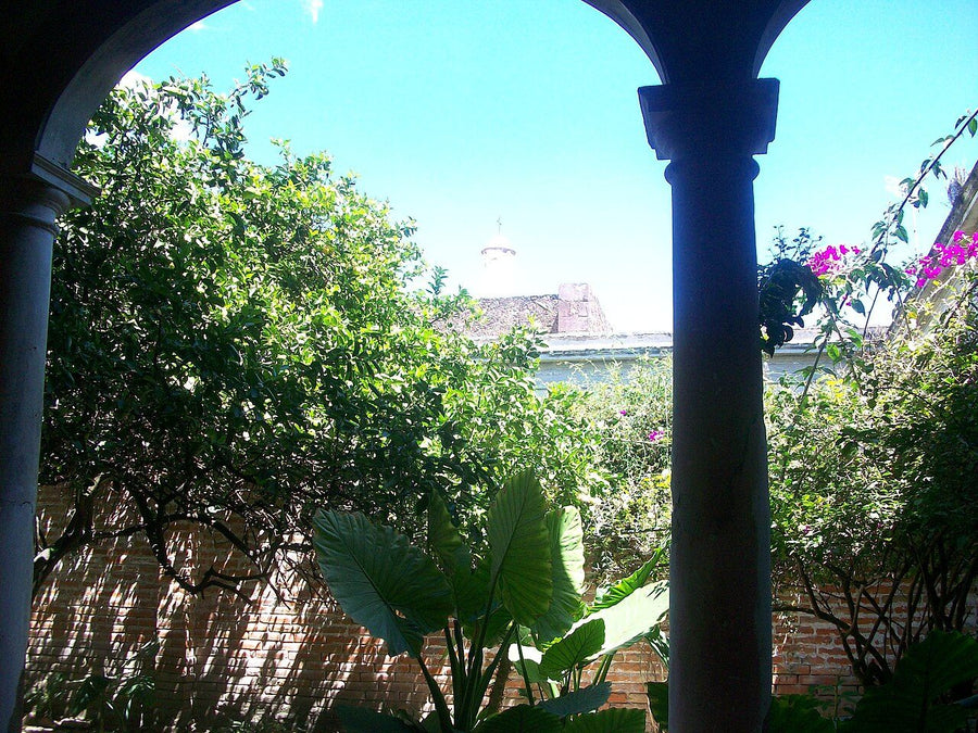 Rancho/Quinta en renta · Sitpach, Mérida | 5 rec., 290 m²