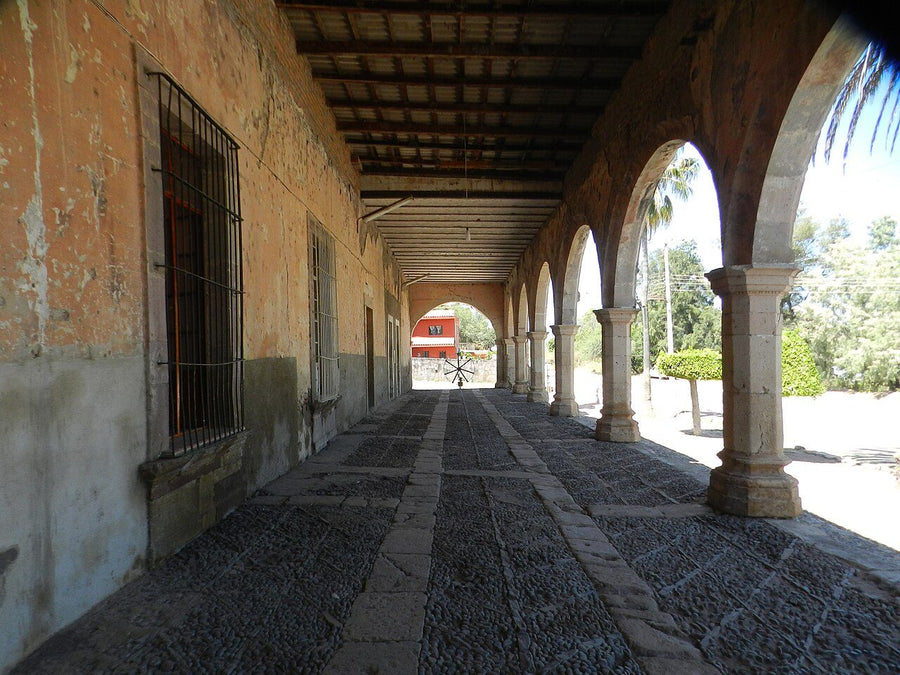 San Marcos Nepantla, Acolman: propiedad campestre en renta | 4 rec., 395 m²