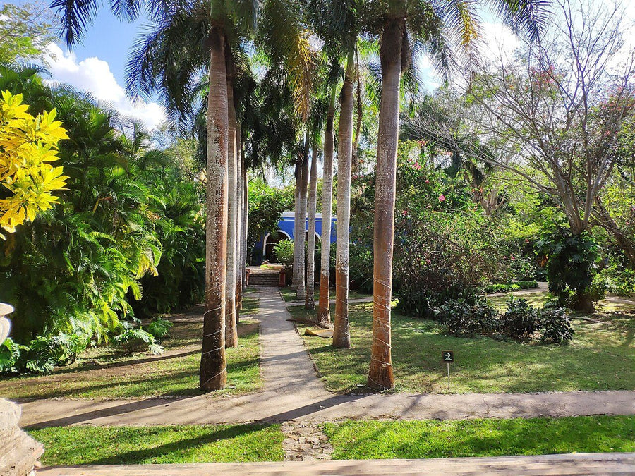 Santa Teresa [Granja], Durango: propiedad campestre en venta | 5 rec., 370 m²