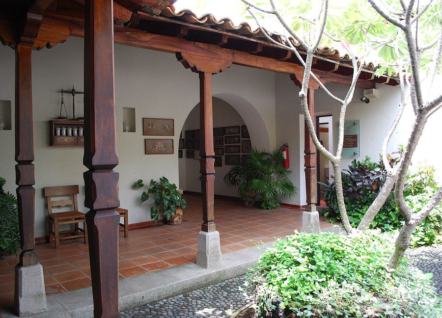 Rancho/Quinta de 3 recámaras en renta en Santo Domingo Ajoloapan, Tecámac | 3 rec., 290 m²