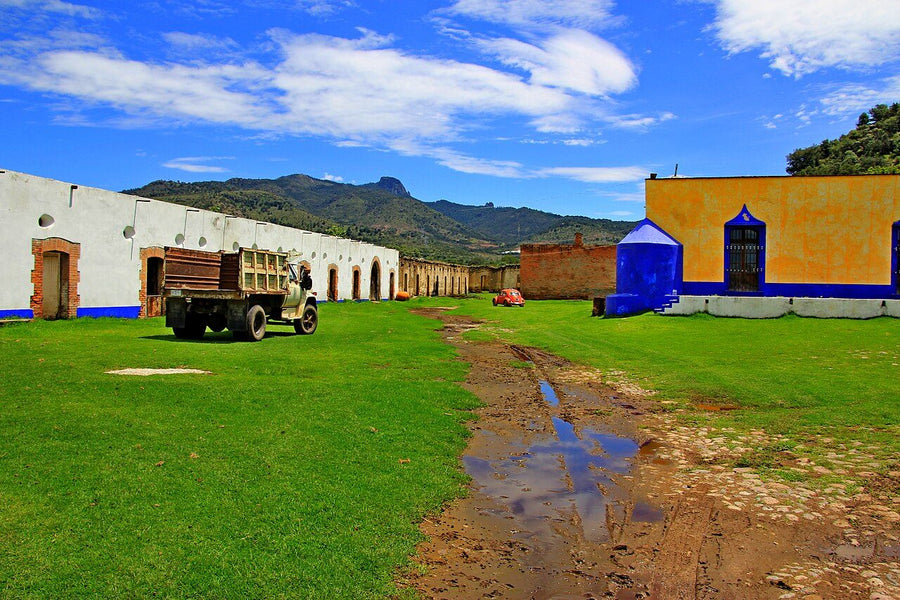Rancho/Quinta en renta · Las Palmas, Celaya | 3 rec., 200 m²