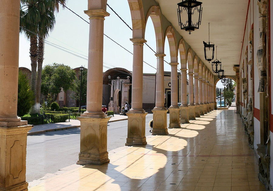 Alvarado Guardacosta, Villahermosa: propiedad campestre en venta | 4 rec., 395 m²