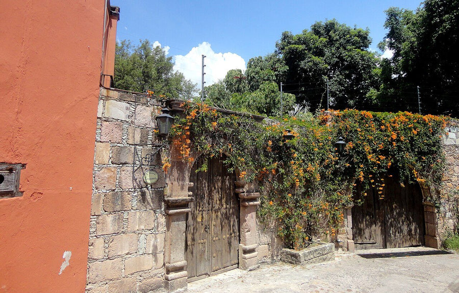 Jalipa, Manzanillo: propiedad campestre en renta | 2 rec., 145 m²