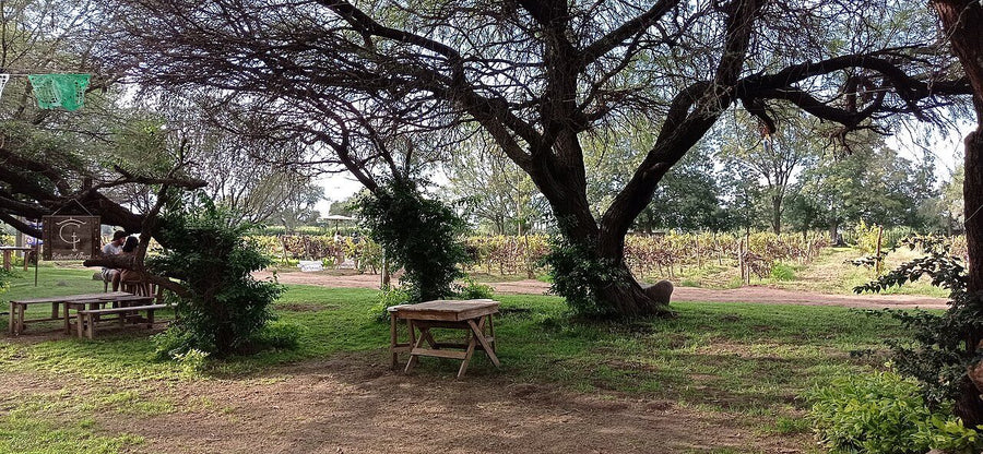 Rancho/Quinta de 2 recámaras en renta en Alianza de Cazadores Diana, Zapopan | 2 rec., 210 m²