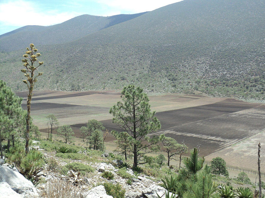 Terreno en venta · Santa Ana Calanchuy, Comitán | 930 m² de terreno