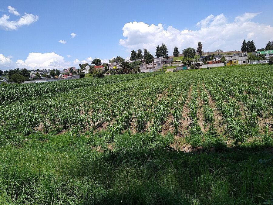 Coquelequixtlan, Tuxtla Gutiérrez: terreno en venta | 670 m² de terreno