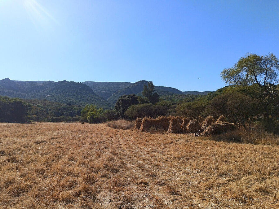 Terreno en venta en la zona de Las Tunas, La Paz | 450 m² de terreno
