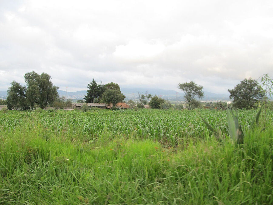 Las Hachas, Bahía de Banderas: terreno en venta | 285 m² de terreno