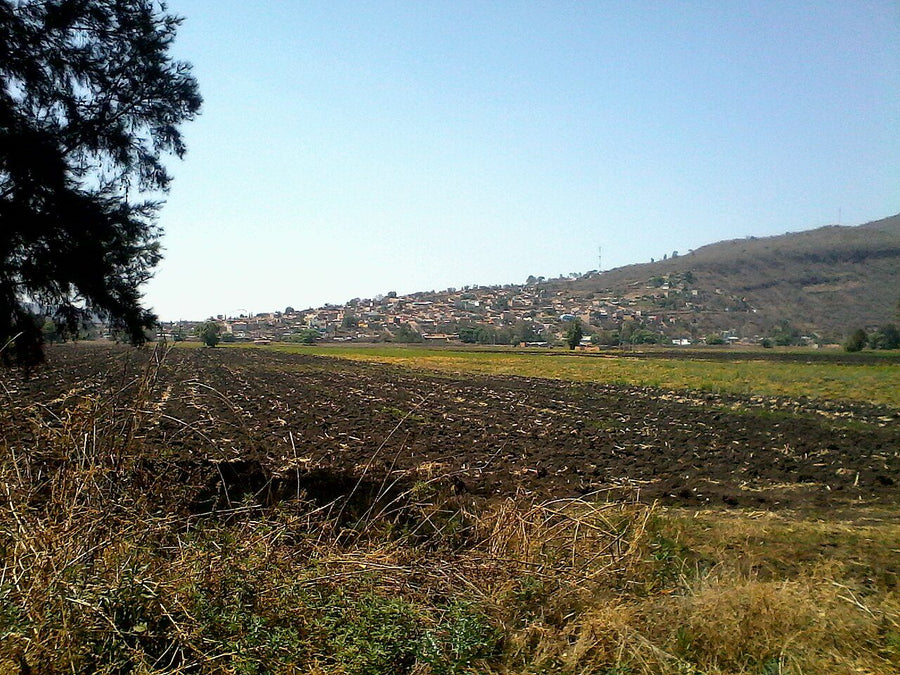Terreno en venta en la zona de Francisco Villa, Acuña | 360 m² de terreno