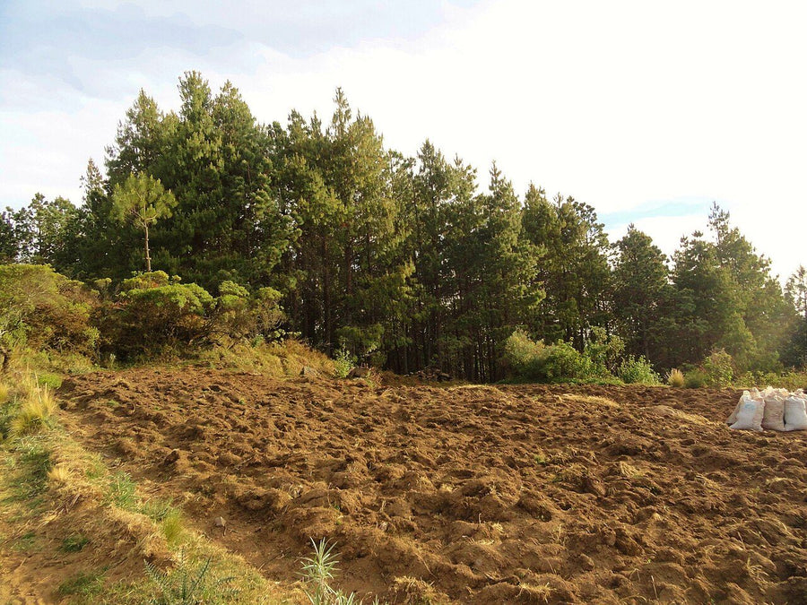 Terreno en venta en la zona de La Enramada, San Nicolás de los Garza | 185 m² de terreno