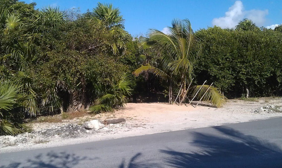 Terreno en venta · El Panteón, Lerma | 2180 m² de terreno