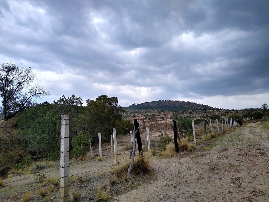 Pontevedra, Culiacán: terreno en renta | 380 m² de terreno