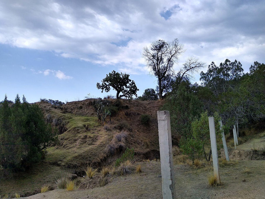 Terreno en venta · El Calvario de Reyes Acozac, Tecámac | 290 m² de terreno